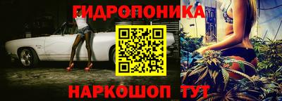 трава Кингисепп
