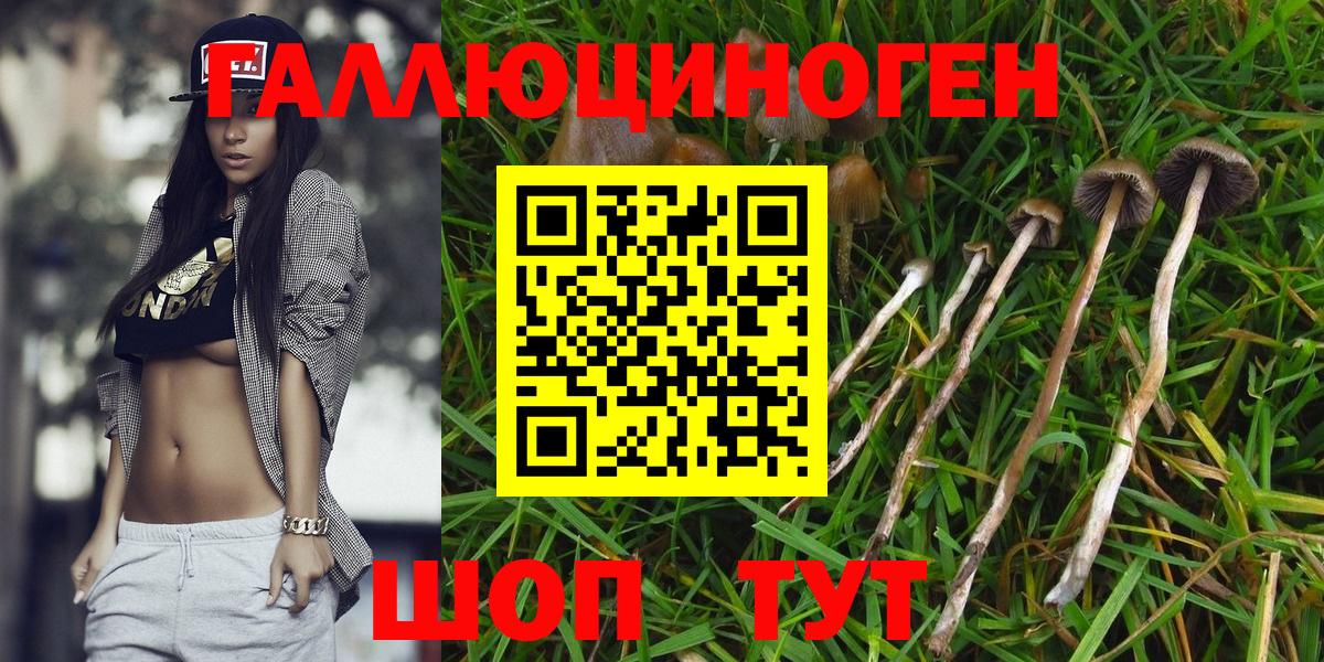 Кулебаки  Галлюциногенные грибы мухоморы  где купить наркоту  Вход с VPN 